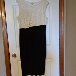 Elegant Black and White Sleeveless Dress